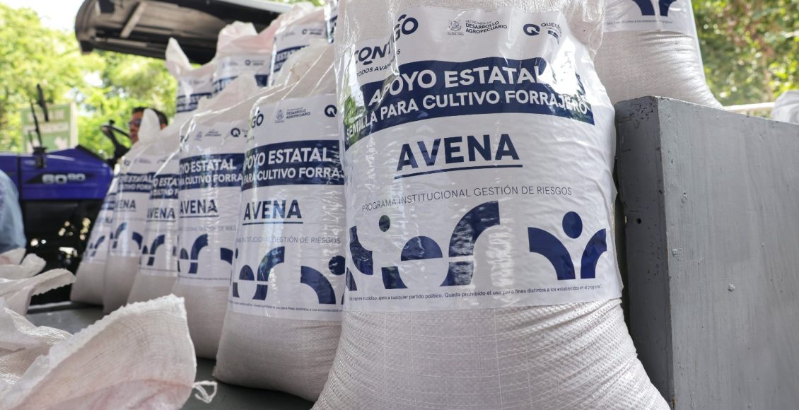 WhatsApp Image 2024-09-19 at 4.19.49 PM (1)