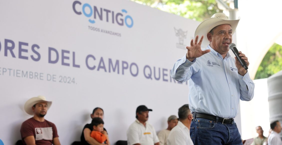 WhatsApp Image 2024-09-19 at 4.19.50 PM (1)