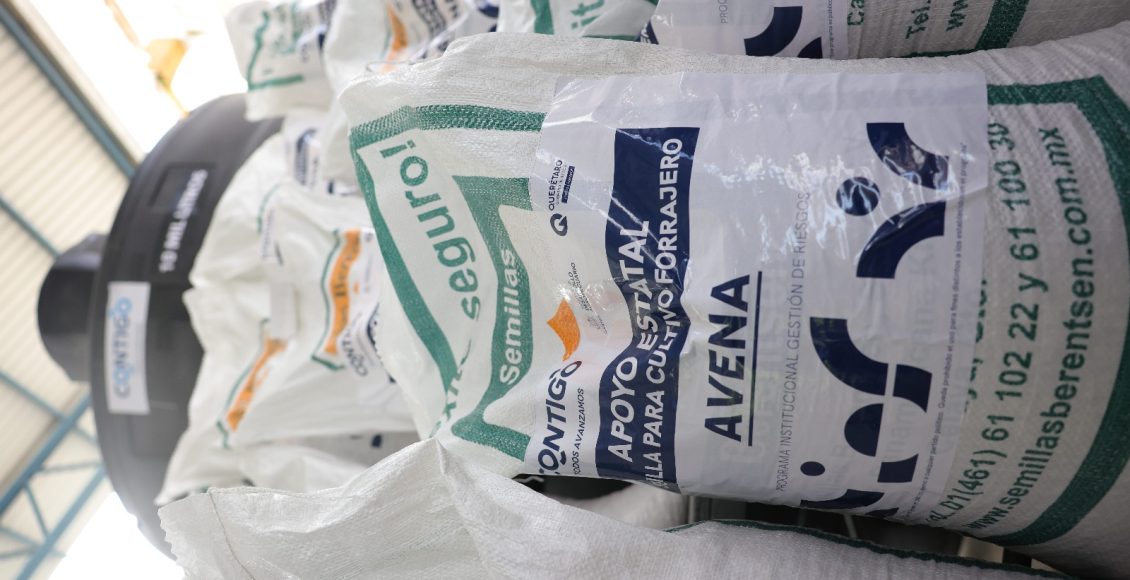 WhatsApp Image 2024-09-19 at 4.19.50 PM (2)