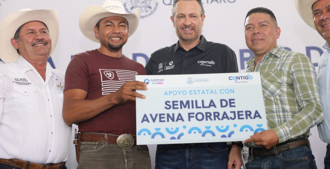 WhatsApp Image 2024-09-19 at 4.19.51 PM (1)