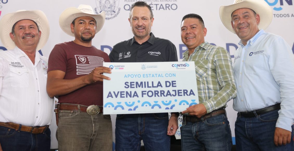 WhatsApp Image 2024-09-19 at 4.19.51 PM (2)