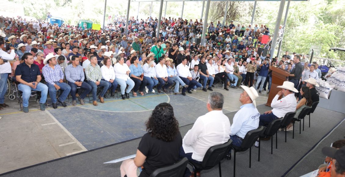 WhatsApp Image 2024-09-19 at 4.19.51 PM (4)