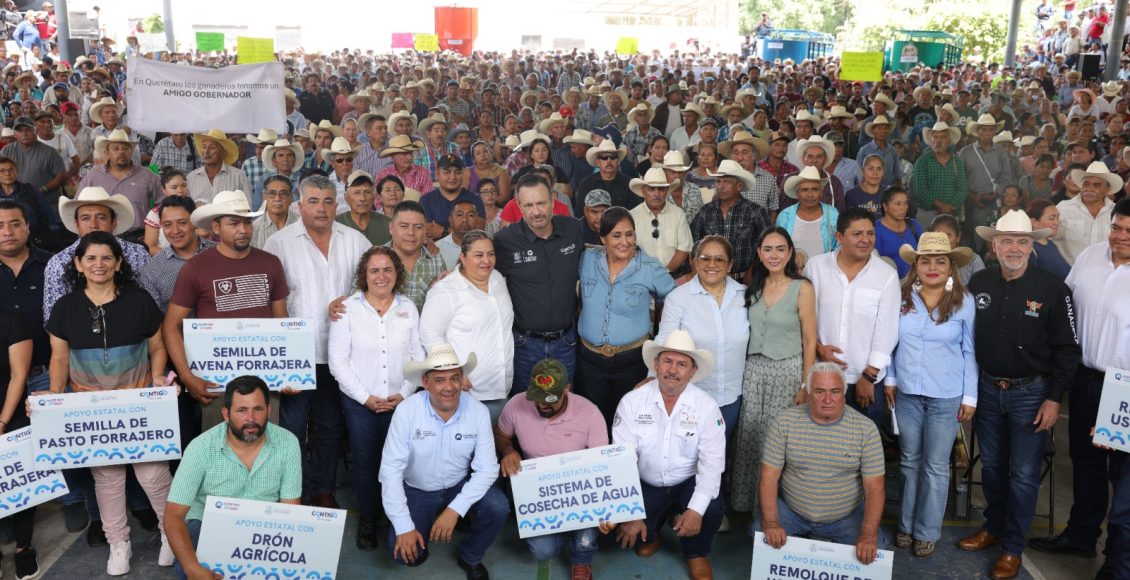 WhatsApp Image 2024-09-19 at 4.19.52 PM (1)