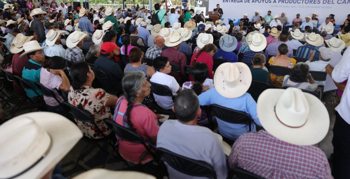 WhatsApp Image 2024-09-19 at 4.19.52 PM