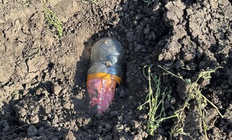 WhatsApp Image 2025-03-05 at 7.40.20 PM