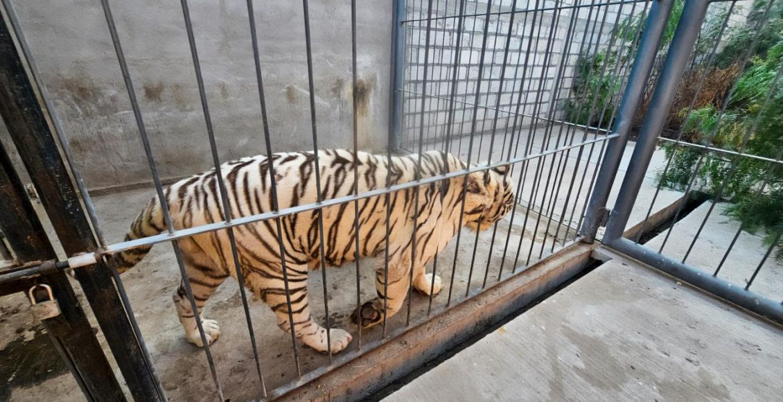 487292751_1066301828863895_3243529159701428766_n