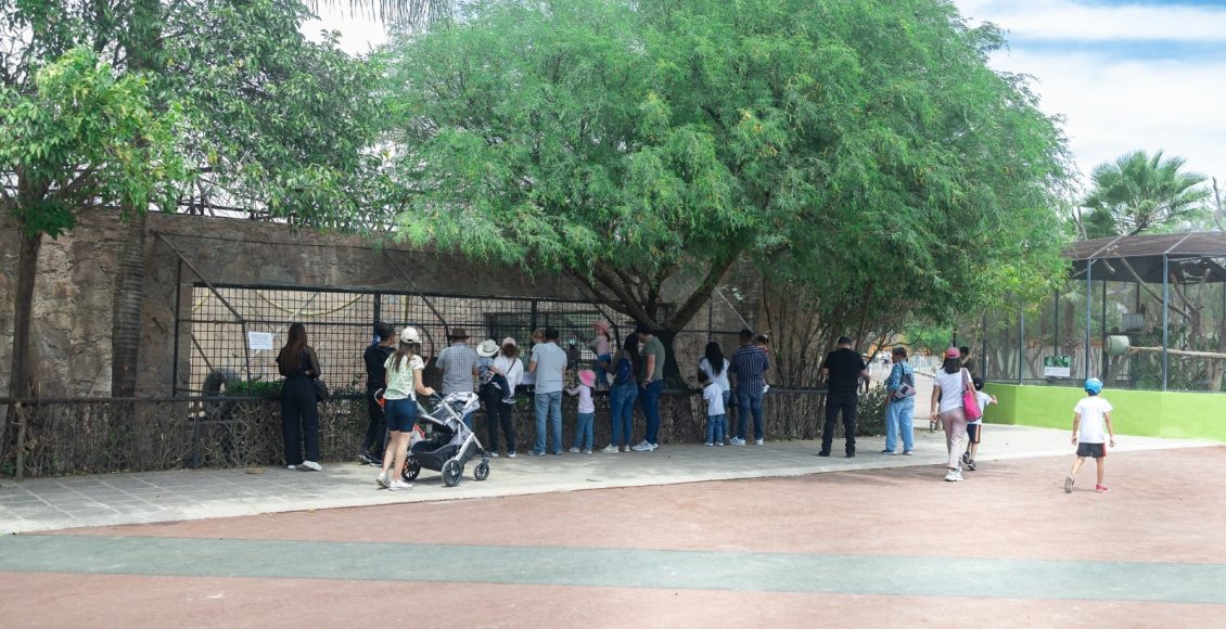 489648052_122119752272746716_2134313871497780984_n