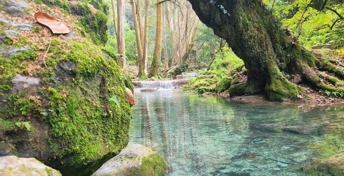 WhatsApp Image 2025-04-08 at 6.43.35 PM