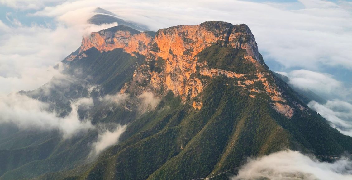 WhatsApp Image 2025-04-08 at 6.46.27 PM