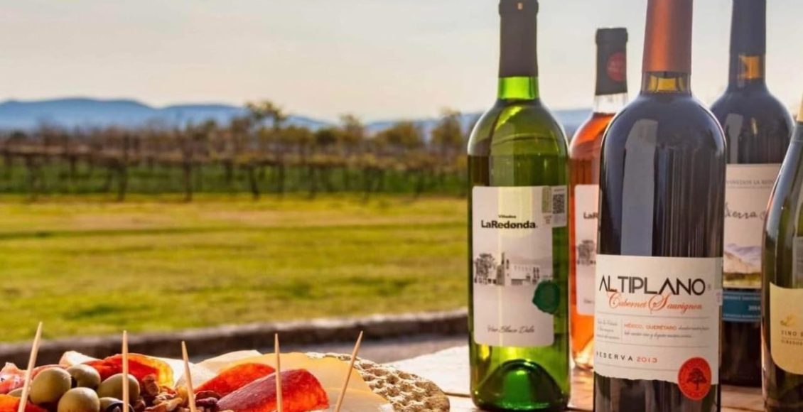 WhatsApp Image 2025-04-08 at 6.57.06 PM