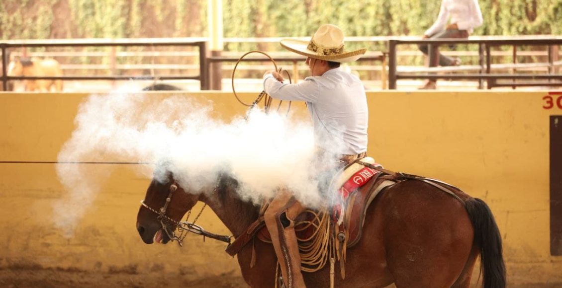 484b204f-4755-496d-9164-cb0716c776c4