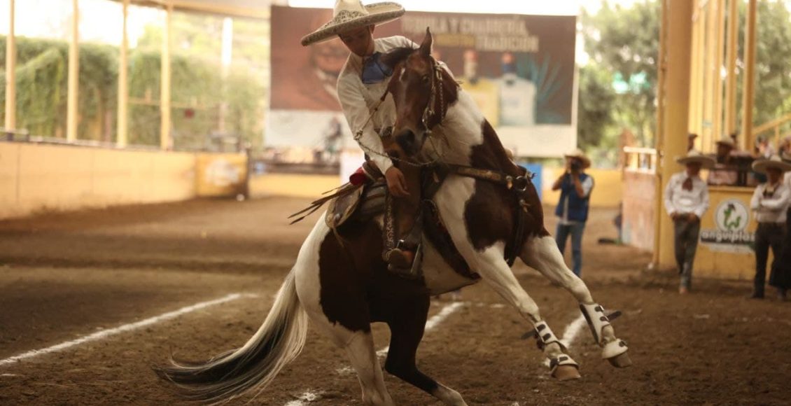 97e7f9d9-9ba4-4f9a-bd1e-74f42dafe5bf