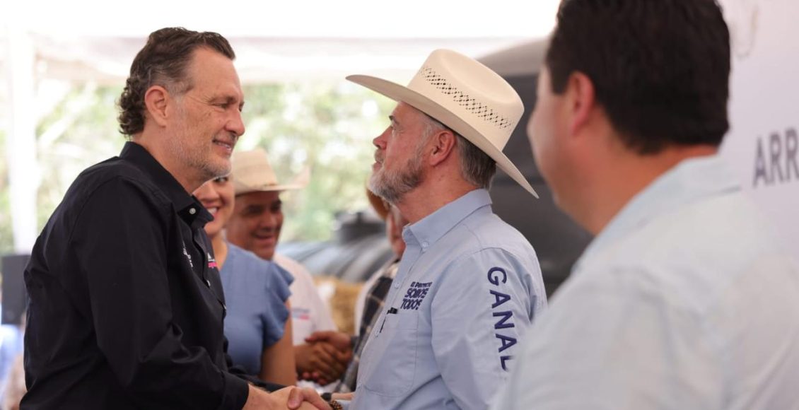 e6e5439e-5801-4c65-a5f2-bf65983ac232